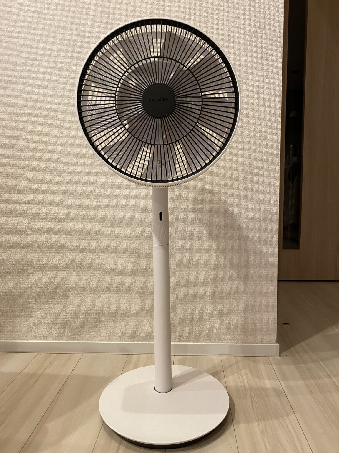 バルミューダ ザグリーンファン DCモーター扇風機 The GreenFan